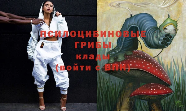 PSILOCYBIN Кинешма