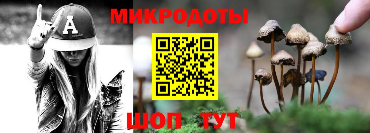 Галлюциногенные грибы Magic Shrooms Буйнакск